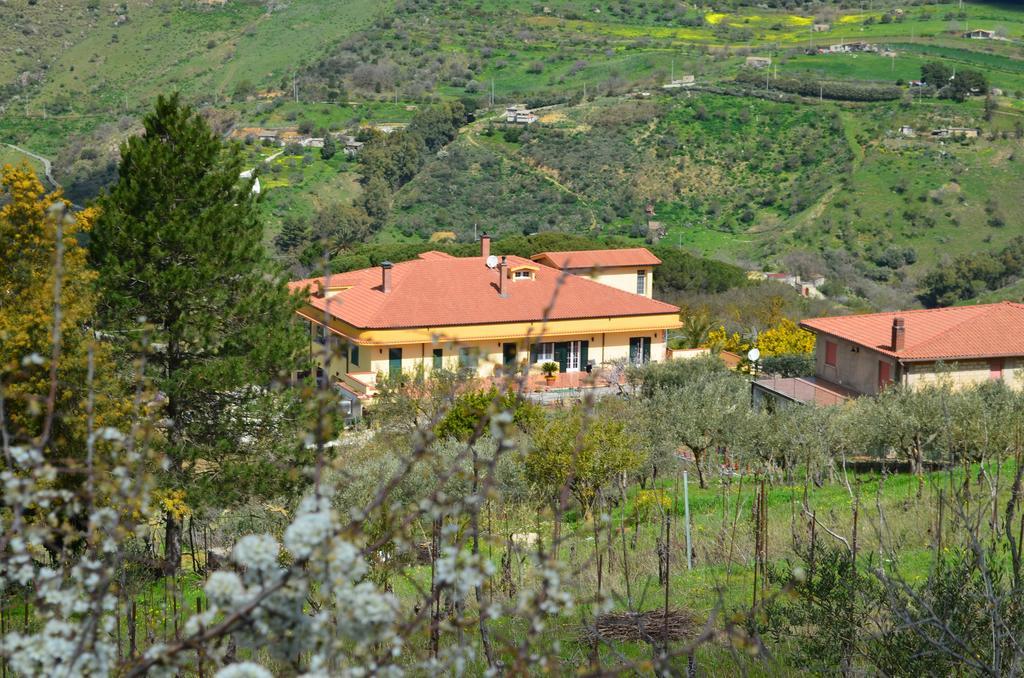 Villa Della Mimosa Alia Exteriör bild